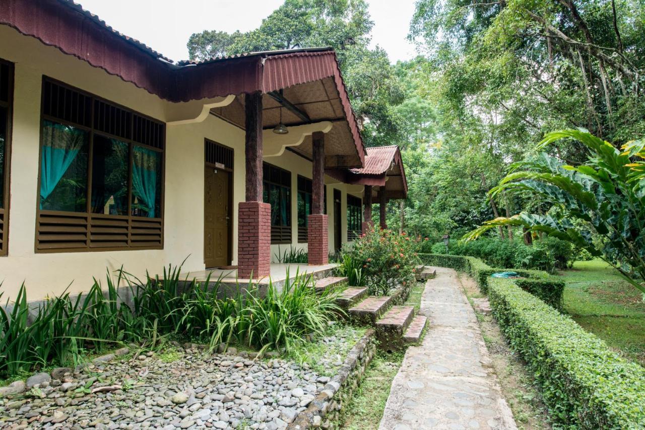 Ecolodge Bukit Lawang - Hotel&Jungletrek Exterior foto
