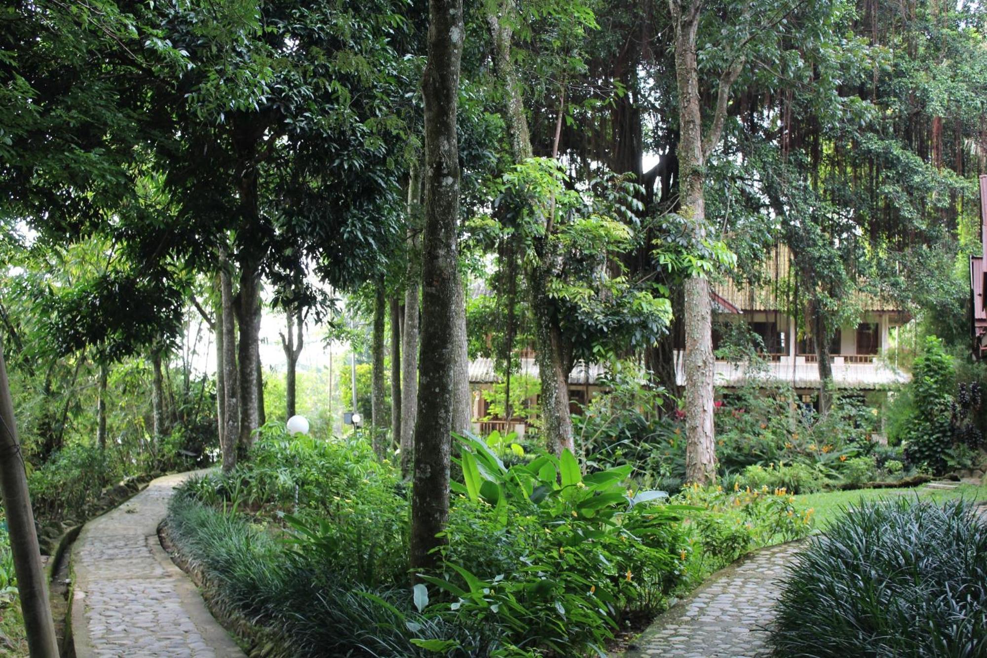 Ecolodge Bukit Lawang - Hotel&Jungletrek Cameră foto