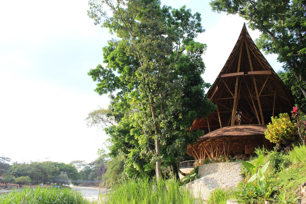 Ecolodge Bukit Lawang - Hotel&Jungletrek Exterior foto