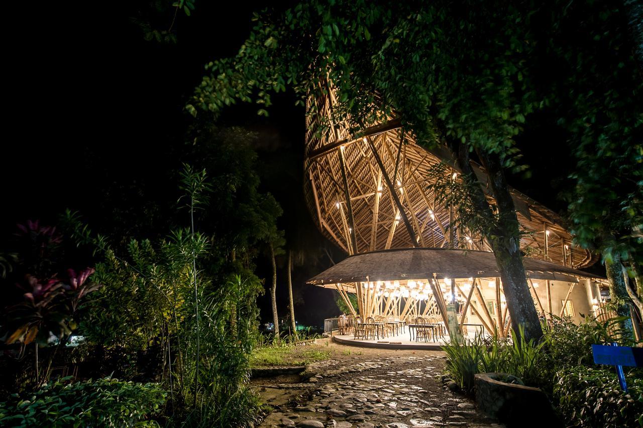 Ecolodge Bukit Lawang - Hotel&Jungletrek Exterior foto