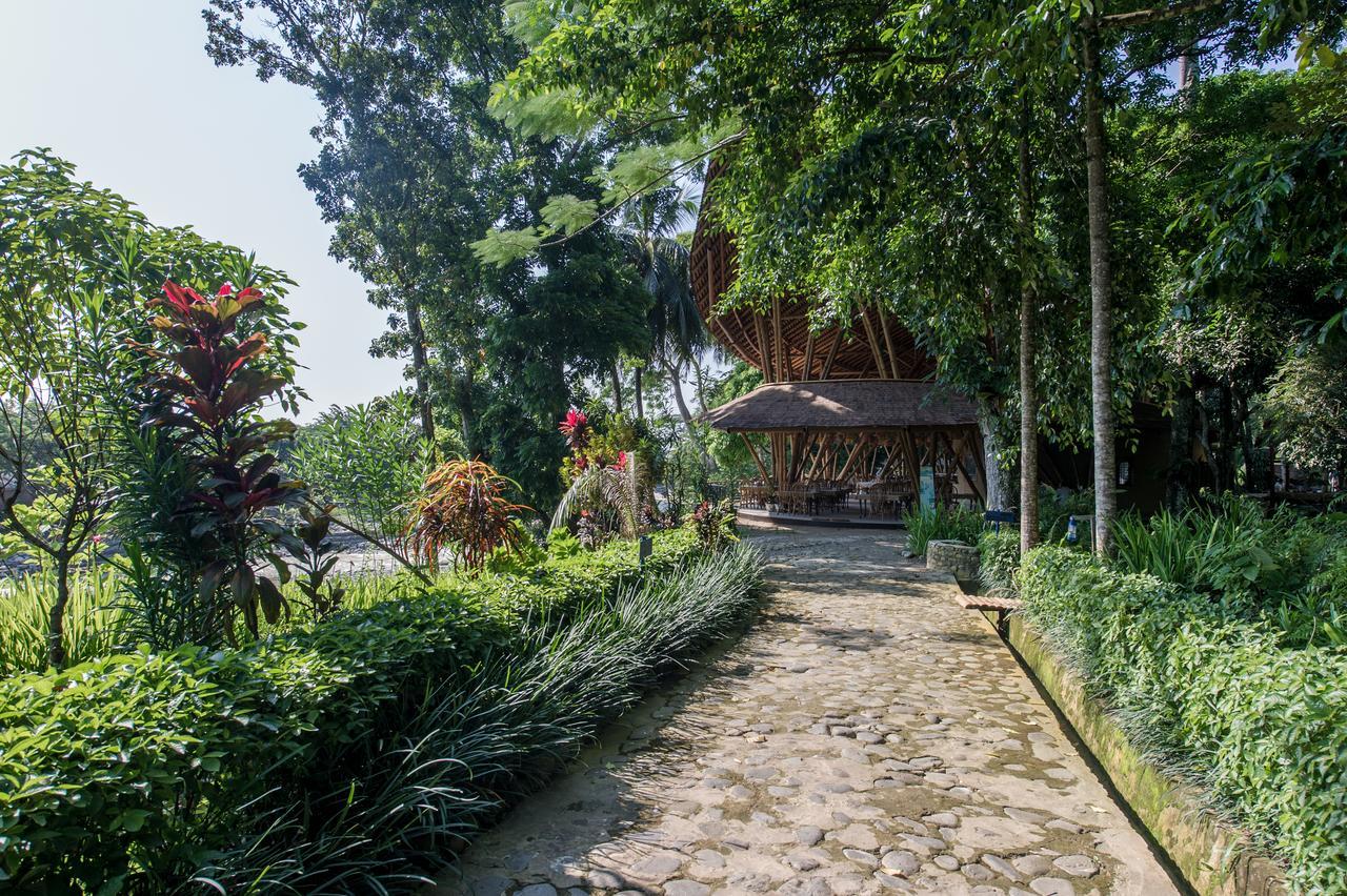 Ecolodge Bukit Lawang - Hotel&Jungletrek Exterior foto