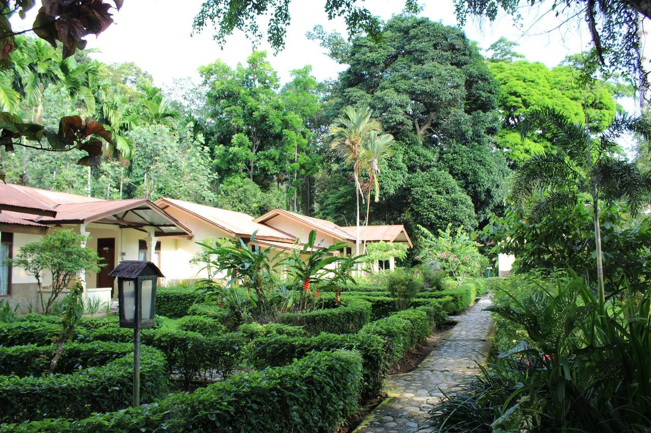 Ecolodge Bukit Lawang - Hotel&Jungletrek Exterior foto